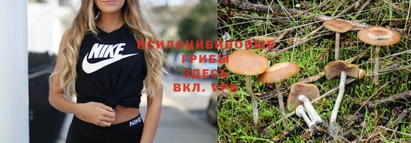 мяу мяу мука Балахна